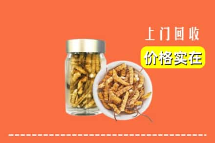 萍乡市湘东回收散虫草
