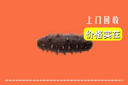 萍乡市湘东回收海参