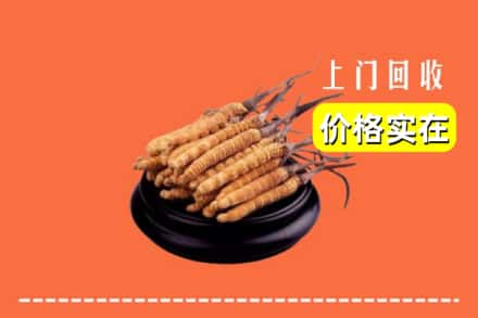 萍乡市湘东回收冬虫夏草